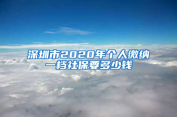 深圳市2020年个人缴纳一档社保要多少钱