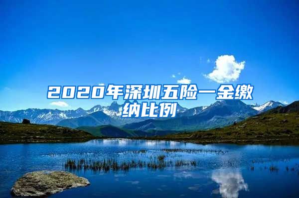2020年深圳五险一金缴纳比例