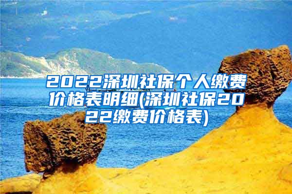 2022深圳社保个人缴费价格表明细(深圳社保2022缴费价格表)