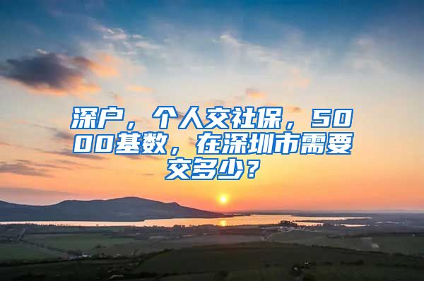 深户，个人交社保，5000基数，在深圳市需要交多少？