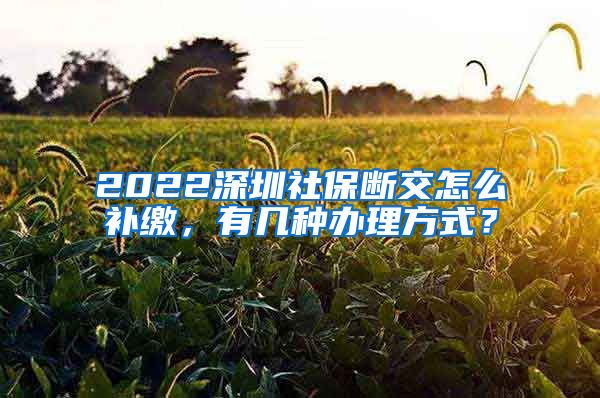 2022深圳社保断交怎么补缴，有几种办理方式？