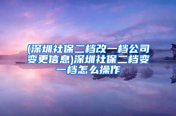 (深圳社保二档改一档公司变更信息)深圳社保二档变一档怎么操作