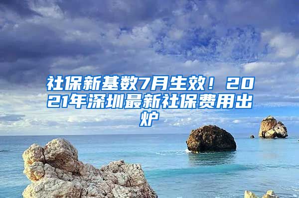 社保新基数7月生效！2021年深圳最新社保费用出炉