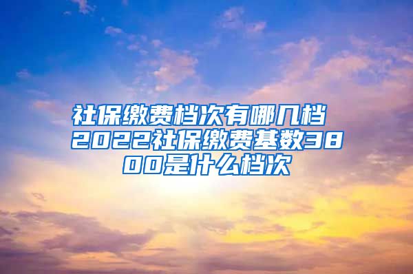 社保缴费档次有哪几档 2022社保缴费基数3800是什么档次