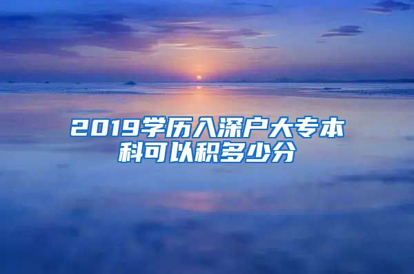 2019学历入深户大专本科可以积多少分