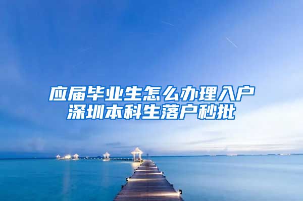 应届毕业生怎么办理入户深圳本科生落户秒批