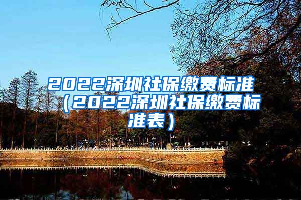 2022深圳社保缴费标准（2022深圳社保缴费标准表）