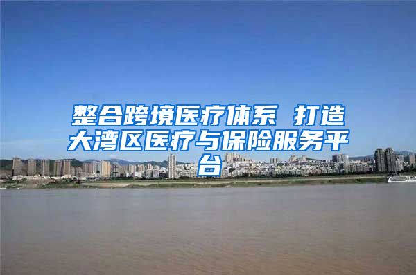 整合跨境医疗体系 打造大湾区医疗与保险服务平台