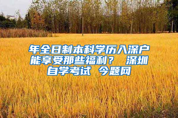 年全日制本科学历入深户能享受那些福利？ 深圳自学考试 今题网