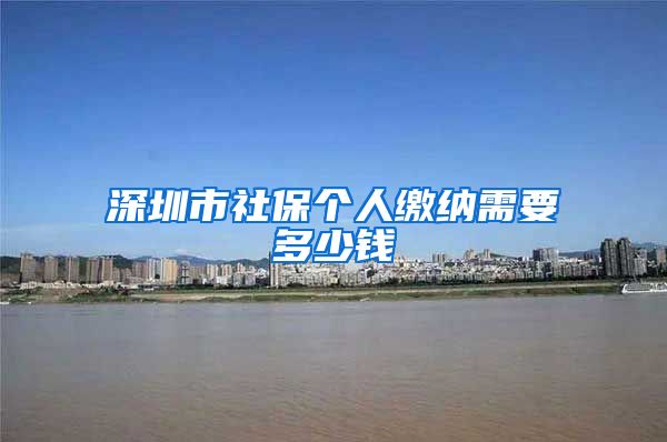 深圳市社保个人缴纳需要多少钱