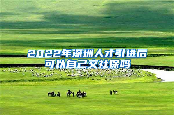 2022年深圳人才引进后可以自己交社保吗