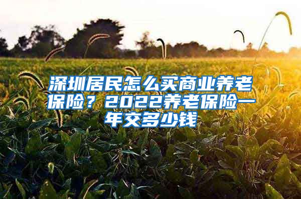 深圳居民怎么买商业养老保险？2022养老保险一年交多少钱