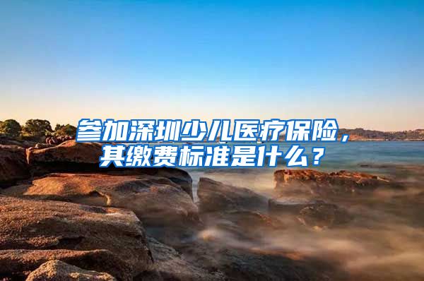 参加深圳少儿医疗保险，其缴费标准是什么？