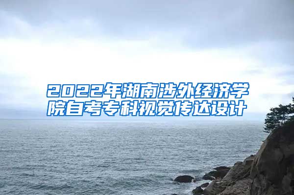 2022年湖南涉外经济学院自考专科视觉传达设计