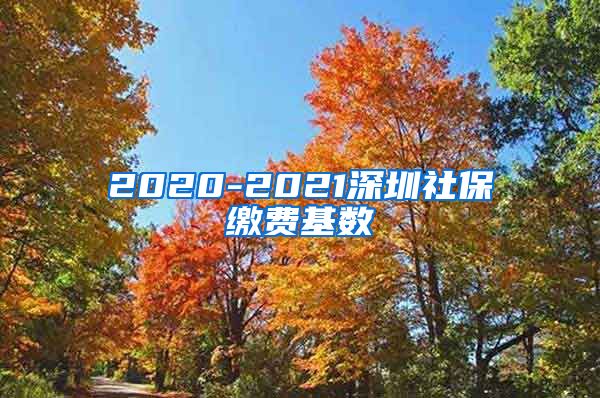 2020-2021深圳社保缴费基数
