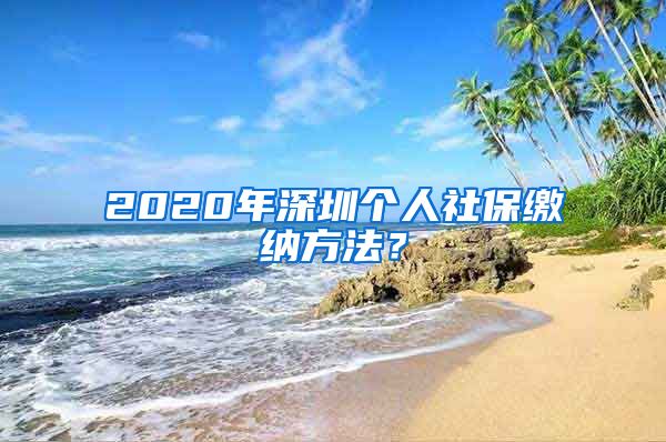 2020年深圳个人社保缴纳方法？