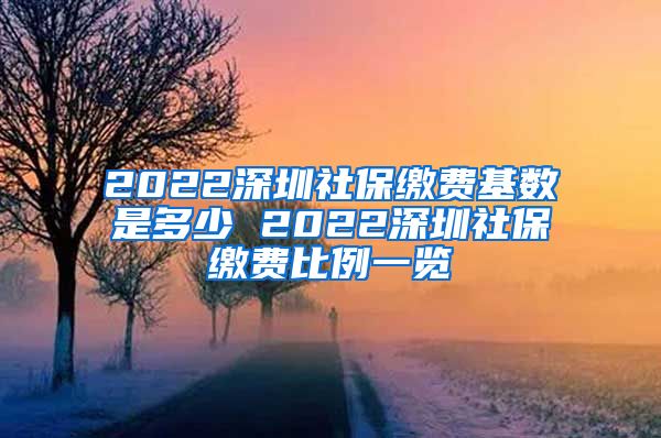2022深圳社保缴费基数是多少 2022深圳社保缴费比例一览