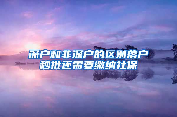 深户和非深户的区别落户秒批还需要缴纳社保