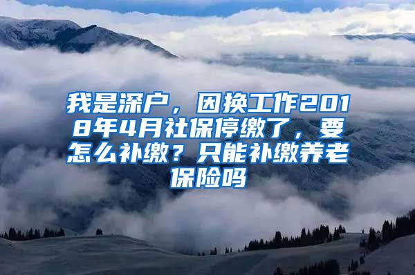 我是深户，因换工作2018年4月社保停缴了，要怎么补缴？只能补缴养老保险吗