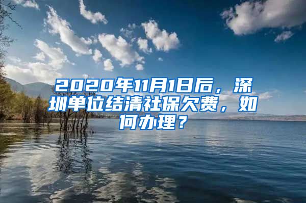 2020年11月1日后，深圳单位结清社保欠费，如何办理？