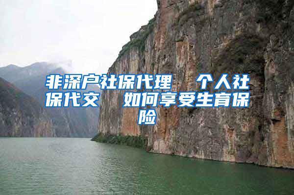 非深户社保代理  个人社保代交  如何享受生育保险