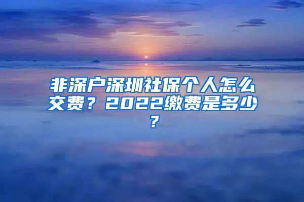 非深户深圳社保个人怎么交费？2022缴费是多少？