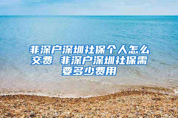 非深户深圳社保个人怎么交费 非深户深圳社保需要多少费用