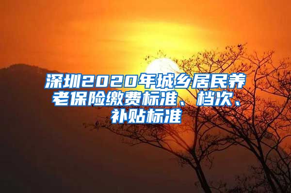 深圳2020年城乡居民养老保险缴费标准、档次、补贴标准