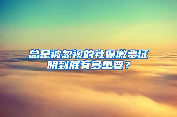 总是被忽视的社保缴费证明到底有多重要？