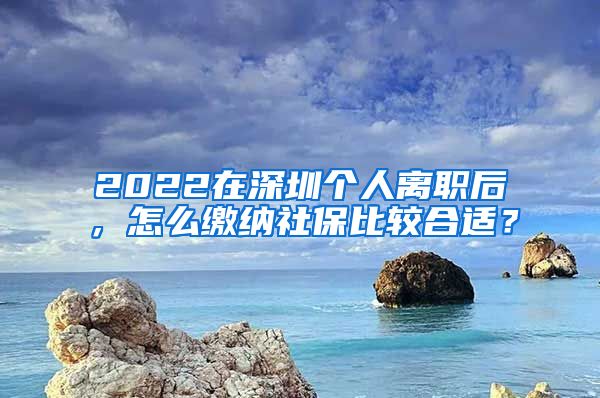 2022在深圳个人离职后，怎么缴纳社保比较合适？